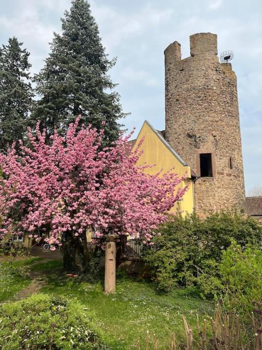 La Jolie Maison Bleue, Au Coeur De L'Alsace Kaysersberg-Vignoble Zewnętrze zdjęcie