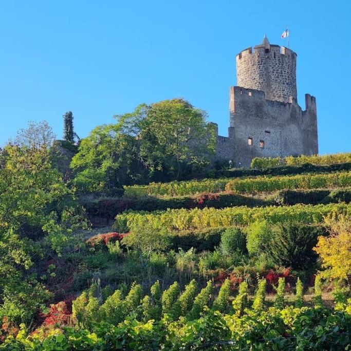 La Jolie Maison Bleue, Au Coeur De L'Alsace Kaysersberg-Vignoble Zewnętrze zdjęcie