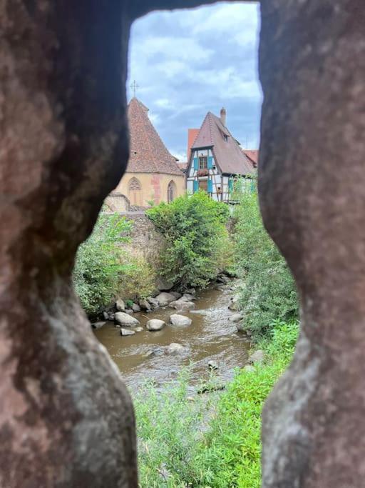 La Jolie Maison Bleue, Au Coeur De L'Alsace Kaysersberg-Vignoble Zewnętrze zdjęcie