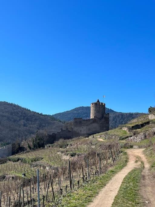 La Jolie Maison Bleue, Au Coeur De L'Alsace Kaysersberg-Vignoble Zewnętrze zdjęcie